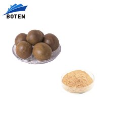 Monk Fruit Juice Powder Manufacturer - Wholesale Chinese Bulk Price Certified Organic