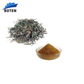 Dandelion Root Extract Powder Factory - Dandelion Tea Herbals Flavonoids