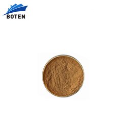 Chasteberry Extract Powder Manufacturer - Pure Natural Vitex Agnus Castus