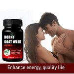 Horny Goat Weed Capsule Manufacturer - OEM Private Label Herbal Supplement Plant Extract