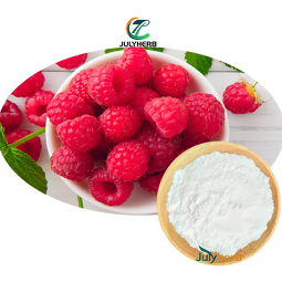 Raspberry Ketone Glucoside Powder Manufacturer - Cosmetic 99% Purity CAS 38963-94-9