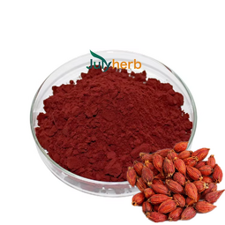 Gardenia Yellow Powder Manufacturer - Food Grade Pigment Supplement Color Value 60-500