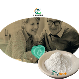 N-Acetylneuraminic Acid Powder Manufacturer - Best Price Food Grade 98% Pure Sialic Acid