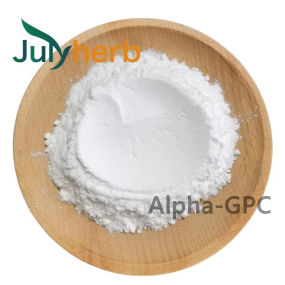 Alpha GPC Powder Manufacturer - High Quality 99% Pure Plant Extract Vacuum Packed