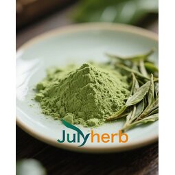 Ceremonial Grade Matcha Powder Manufacturer - OEM 100g Vitamin-Active Private Label