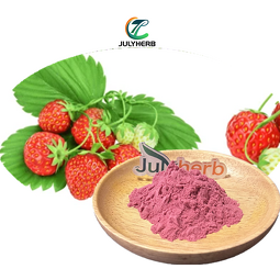 Spray-Dried Strawberry Powder Manufacturer - Food Grade 100% Natural Water Soluble