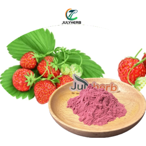 Spray-Dried Strawberry Powder Manufacturer - Food Grade 100% Natural Water Soluble
