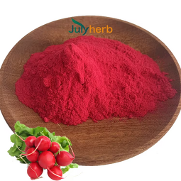 Radish Red Pigment Powder Manufacturer - Food Grade Natural E10-80 Colorant Extract
