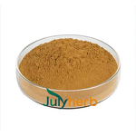 Epimedium Leaf Extract Powder Manufacturer - High Purity 10%-98% Icariins Horny Goat Weed