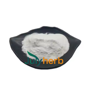 Pediococcus Pentosaceus Powder Manufacturer - High Potency 800 Billion CFU/g Freeze Dried Probiotic
