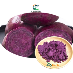 Purple Sweet Potato Color Powder Manufacturer - Food Grade Pigment E10-E100 HPLC Tested