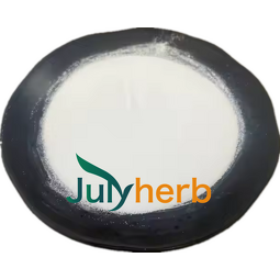 Bacillus Coagulans Powder Manufacturer - White Food Grade Freeze-Dried 200B CFU/g Probiotics