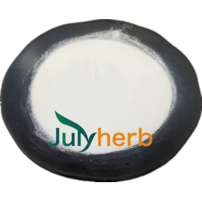 Bacillus Coagulans Powder Manufacturer - White Food Grade Freeze-Dried 200B CFU/g Probiotics