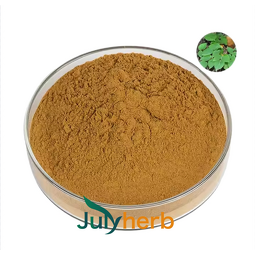 Epimedium Leaf Extract Powder Manufacturer - High Purity 10%-98% Icariins Horny Goat Weed