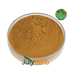 Epimedium Leaf Extract Powder Manufacturer - High Purity 10%-98% Icariins Horny Goat Weed