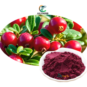 Cranberry Extract Powder Manufacturer - Best Price 100% Natural Concentrate Fruit Juice