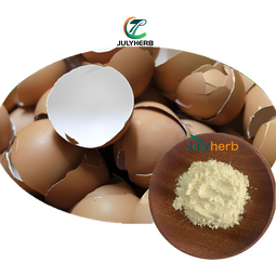 Eggshell Membrane Extract Powder Manufacturer - Direct Factory Sale 10:1 HPLC Tested