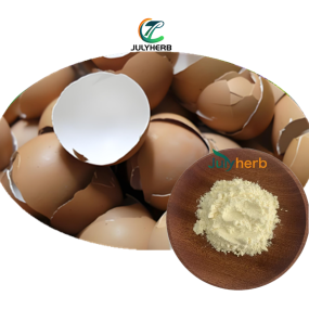 Eggshell Membrane Extract Powder Manufacturer - Direct Factory Sale 10:1 HPLC Tested