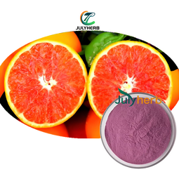 Blood Orange Extract Powder Manufacturer - Food Grade 100% Organic Vacuum Packed