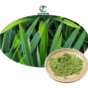 Pandan Leaf Extract Powder Manufacturer - Food Grade 100% Natural 10:1 20:1 Concentrated