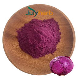 Red Cabbage Powder Manufacturer - Natural Food Grade Pigment E10-E80 Fruit Extract