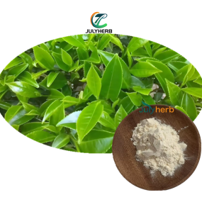 Kombucha Tea Extract Powder Manufacturer - Food Grade Premium Herbal Extract 1kg Drum