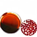 Haematococcus Pluvialis Extract Manufacturer - Natural Astaxanthin 1kg Food Additive