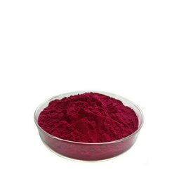 Pomegranate Juice Powder Manufacturer - Organic Food Additive 2 Year Shelf