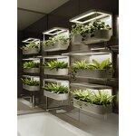 Hydroponic Fertilizer Manufacturer - High Quality Organic Granular for Greenhouse