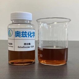 Cleaning Enzyme Manufacturer - Hydrolysis for Papermaking Auxiliary Chemicals