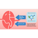 MCT Palm Oil Powder Manufacturer - 70% for Ketogenic Medical Food