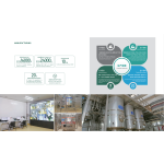 Non Dairy Creamer BCAA Manufacturer - for Muscle Recovery Fitness Energy Boost