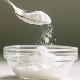 Coconut Milk Flake Pine Nut Powder Manufacturer - Nutritious Raw Material Flavorful