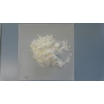 Freeze-Dried Coconut Water Powder Manufacturer - High Quality Food Grade MCT 70%