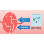 Plant Extract Powder Manufacturer - Diglyceride Functional Ingredient