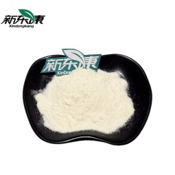 Saw Palmetto MCT Powder Manufacturer - High Quality 70% for Weight Management