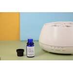 Hotel Fragrance Oil Manufacturer - Water Oil Soluble Strong Scent Diffuser