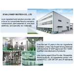 Curcumin Powder Supplier - USP Grade 95% Natural Turmeric Extract