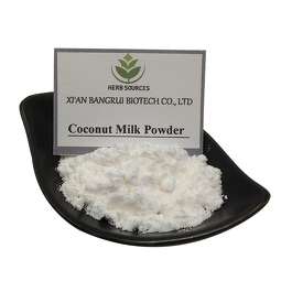 Coconut Milk Powder Supplier - Organic Natural Superfood Powder Bulk