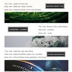 Perfume Oil Supplier - Long Lasting Strong Aroma Essence for Diffuser