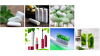 Xi'an Lynsey Biotech Co., Ltd.