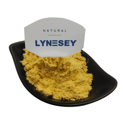 Mango Powder Factory - High Quality Organic Pure Mango Fruit Powder