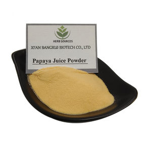 Papaya Fruit Powder Manufacturer - OEM Private Label Organic Plant Extract