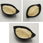 Banana Fruit Powder Factory - 100% Water Soluble Superfood Bulk Private