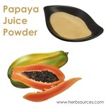 Papaya Fruit Powder Manufacturer - OEM Private Label Organic Plant Extract