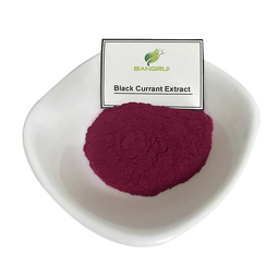 Black Currant Powder Factory - Spray Dried Organic Powder Bulk Price