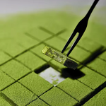 Matcha Chocolate Factory - OEM Custom Pure Cocoa Butter Food Snack