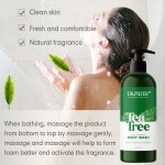 Shower Gel Manufacturer - Luxury OEM Custom Whitening Tea Tree Foam