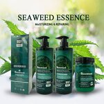 Hair Mask Supplier - OEM Custom Organic Seaweed Repair Anti-Curl