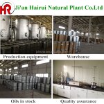 Vanilla Essential Oil Manufacturer - 100% Natural Plant Extract for Flavor Perfume